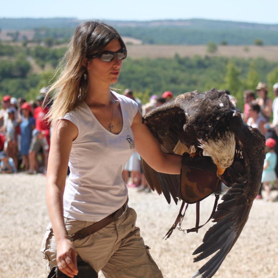 Excellent Sarlat Βίλα Εξωτερικό φωτογραφία